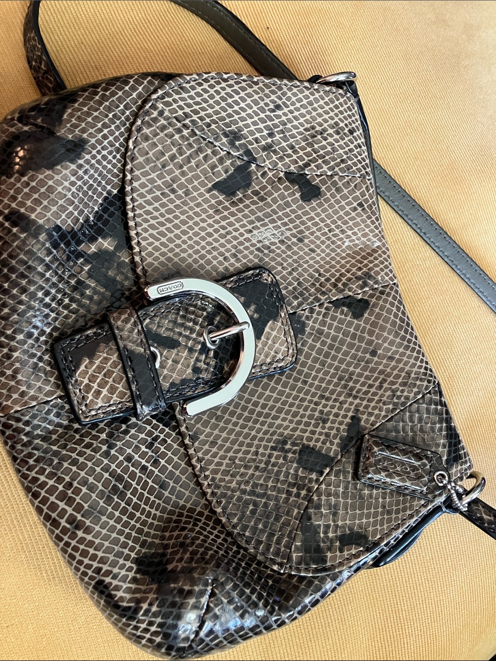 Coach snakeskin Purse